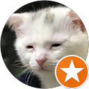 Beeblepo profile picture